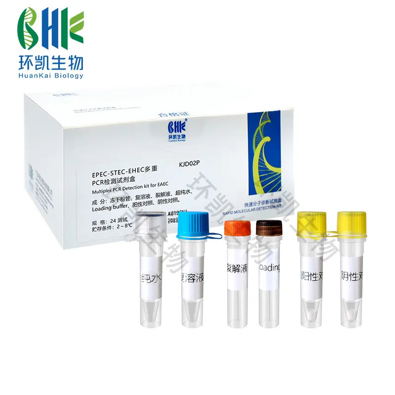 EPEC-STEC-EHEC多重PCR检测试剂盒 - 产品主图5