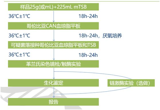 溶血性链球菌检验流程