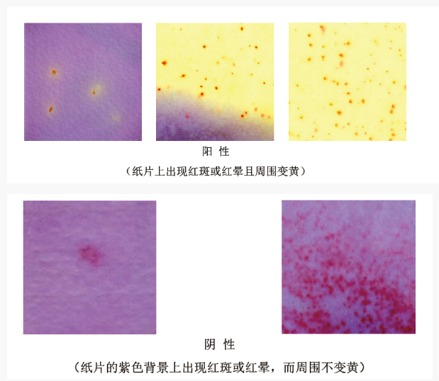 结果判读