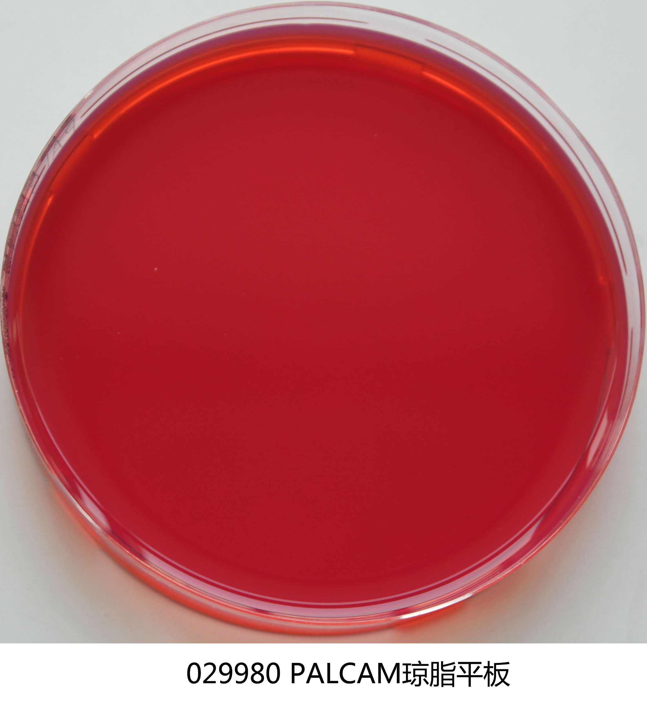 029980 palcam琼脂平板 即用成品 90mm-广东环凯生物科技有限公司-bhk