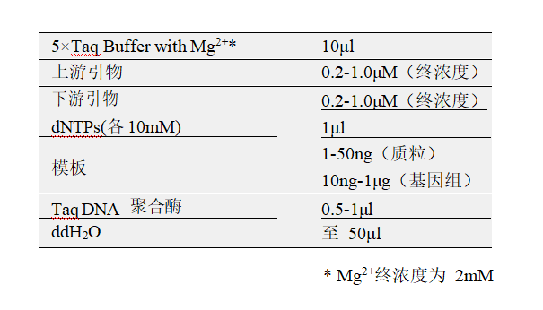 常用反应体系（50μl）