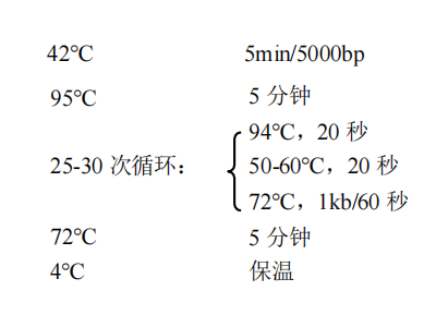 一步法 RT-PCR 试剂盒设置反应程序