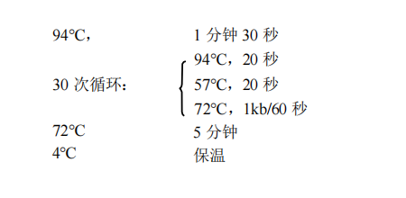 1st Strand cDNA Synthesis Kit(gDNA Purge)常用PCR 循环