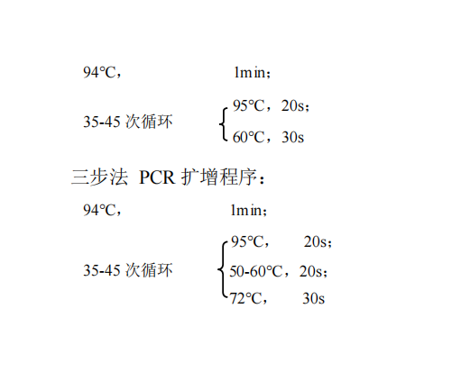 常用 PCR 循环