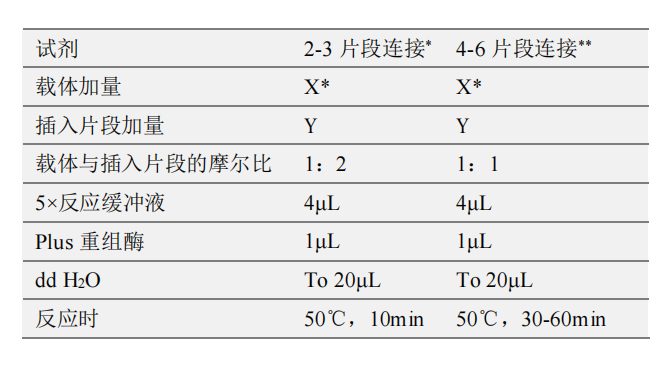 反应体系