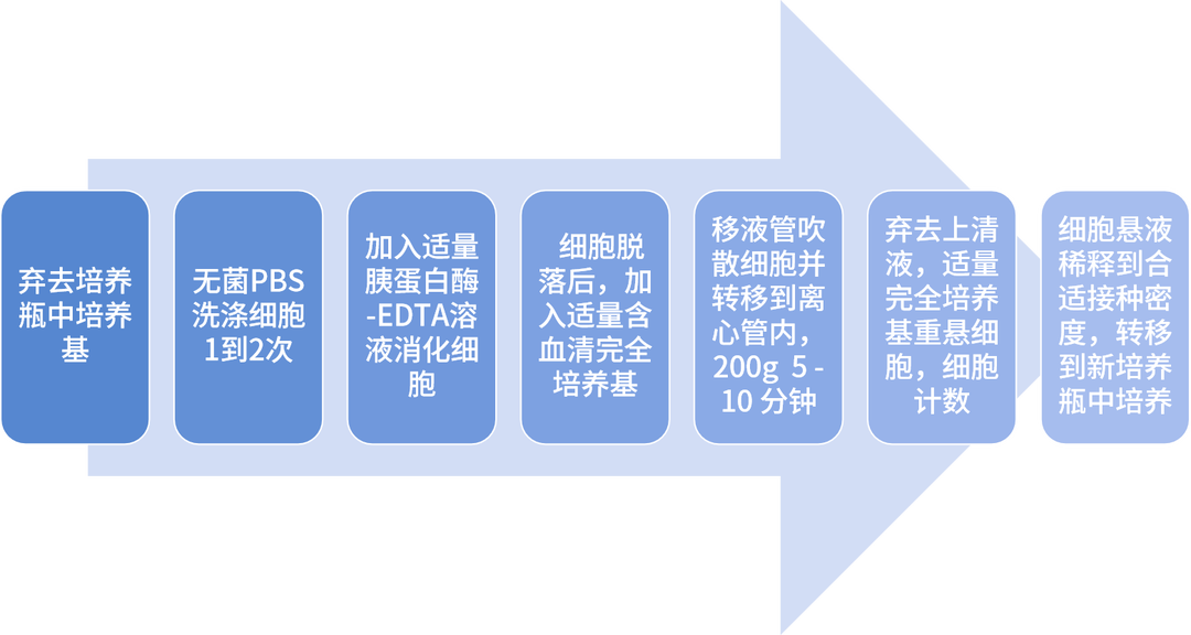 贴壁细胞传代步骤