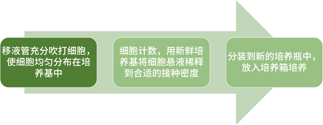 悬浮细胞传代步骤