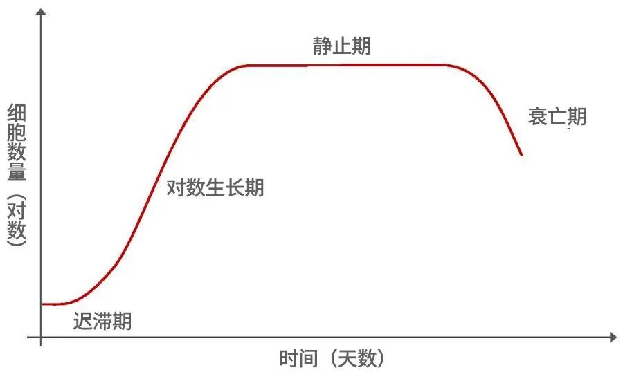 细胞生长曲线