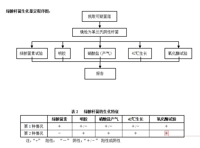 绿脓杆菌生化鉴定程序图