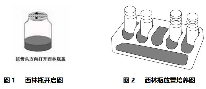 西林瓶使用操作图