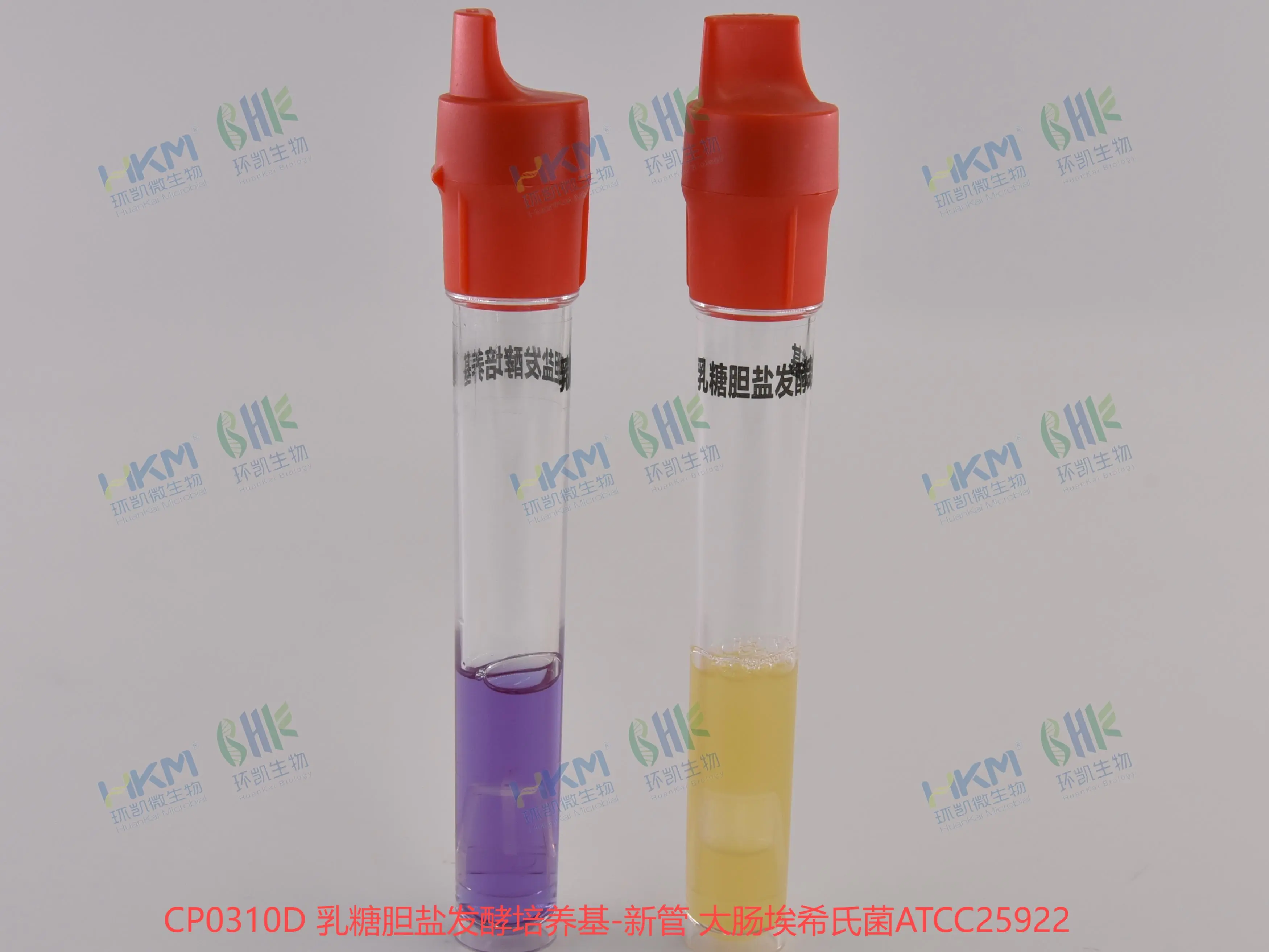 CP0310D 乳糖胆盐发酵培养基-新管 大肠埃希氏菌ATCC25922 