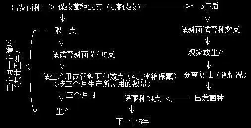在实验过程中，过多传代仍然是不建议的