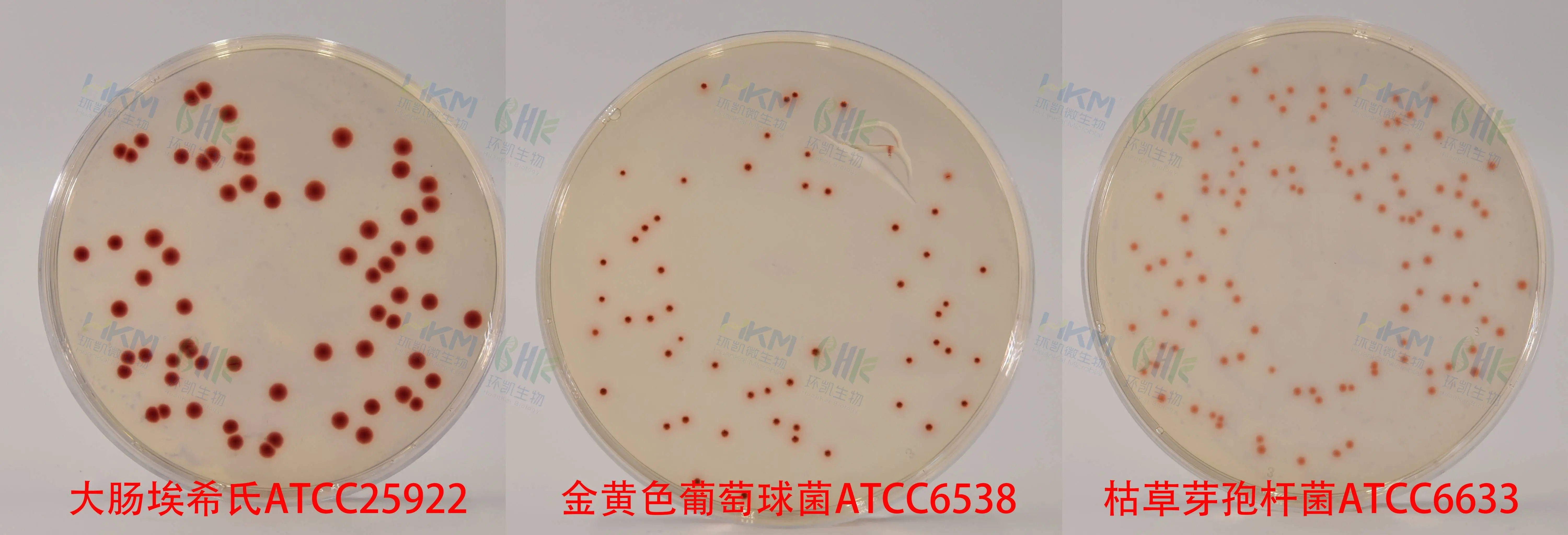 027020 卵磷脂吐温80营养琼脂培养基 质量控制