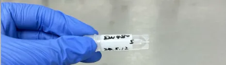 标记冻存管