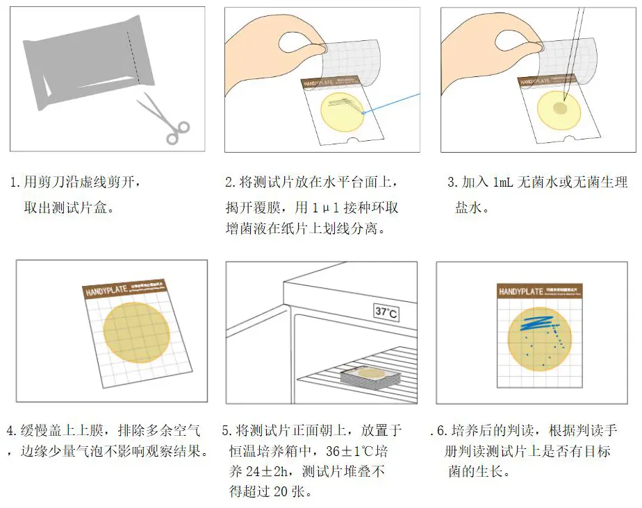 HandyPlate®环境李斯特氏菌测试片定性检验操作图解