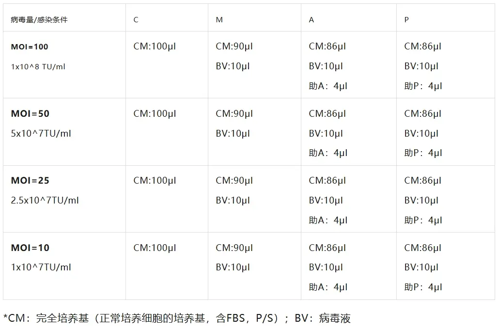 表1.预实验分组及感染