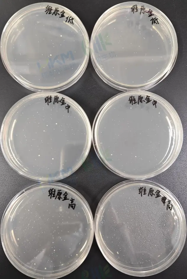 PCA — 金黄色葡萄球菌ATCC6538