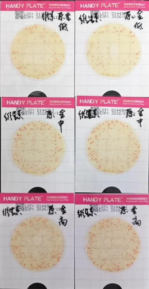 测试片—金黄色葡萄球菌ATCC6538