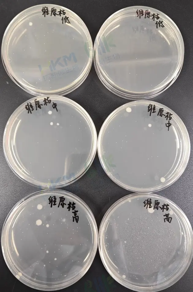 PCA — 枯草芽孢杆菌ATCC6633