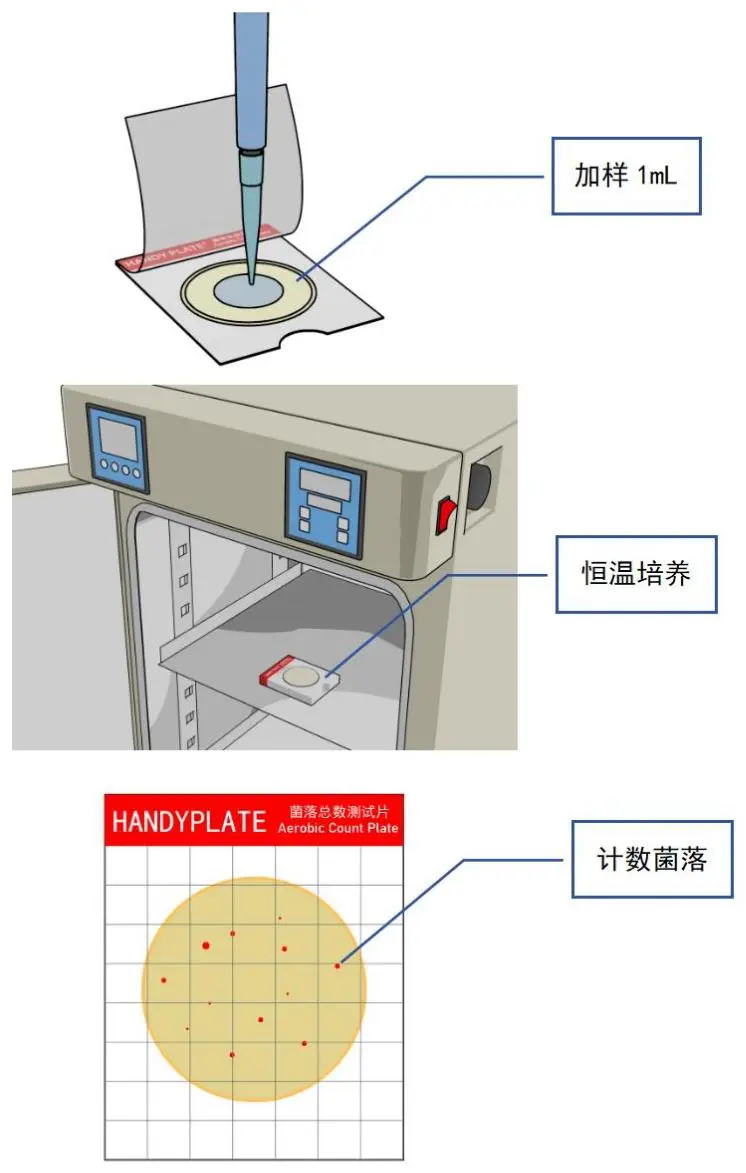 简化操作：测试片开袋即用，无需配制培养基，大幅降低实验室操作复杂度（仅需加样、培养、判读三步完成检测）