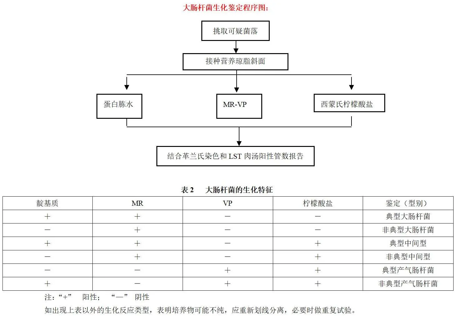大肠杆菌的生化鉴定程序（见下图）和生化鉴定特征（见表2）