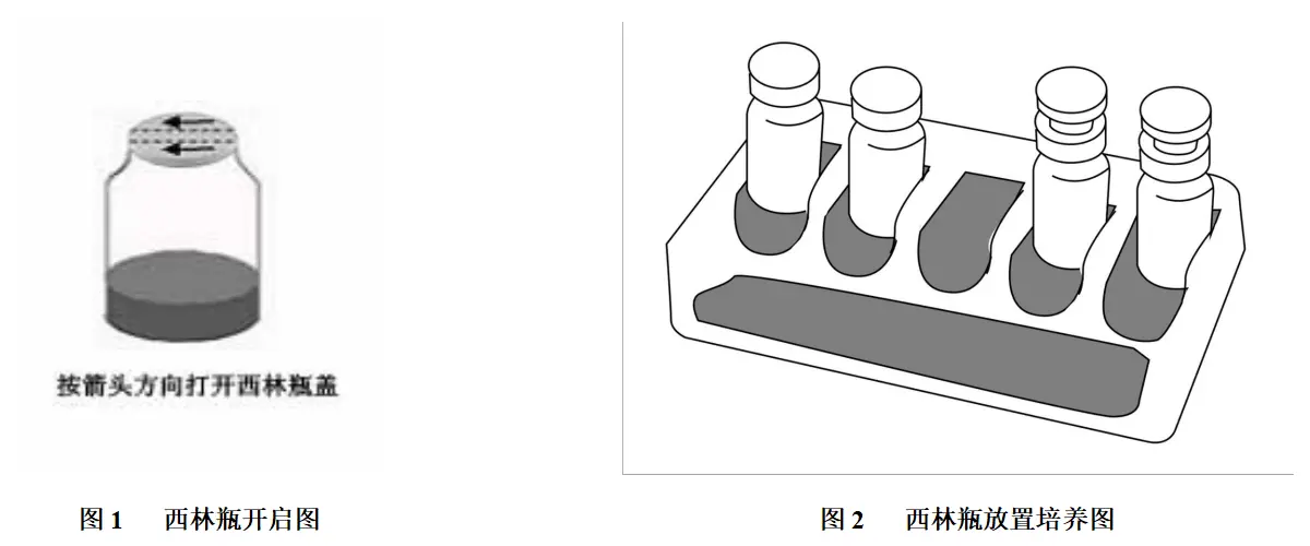 西林瓶的使用方法
