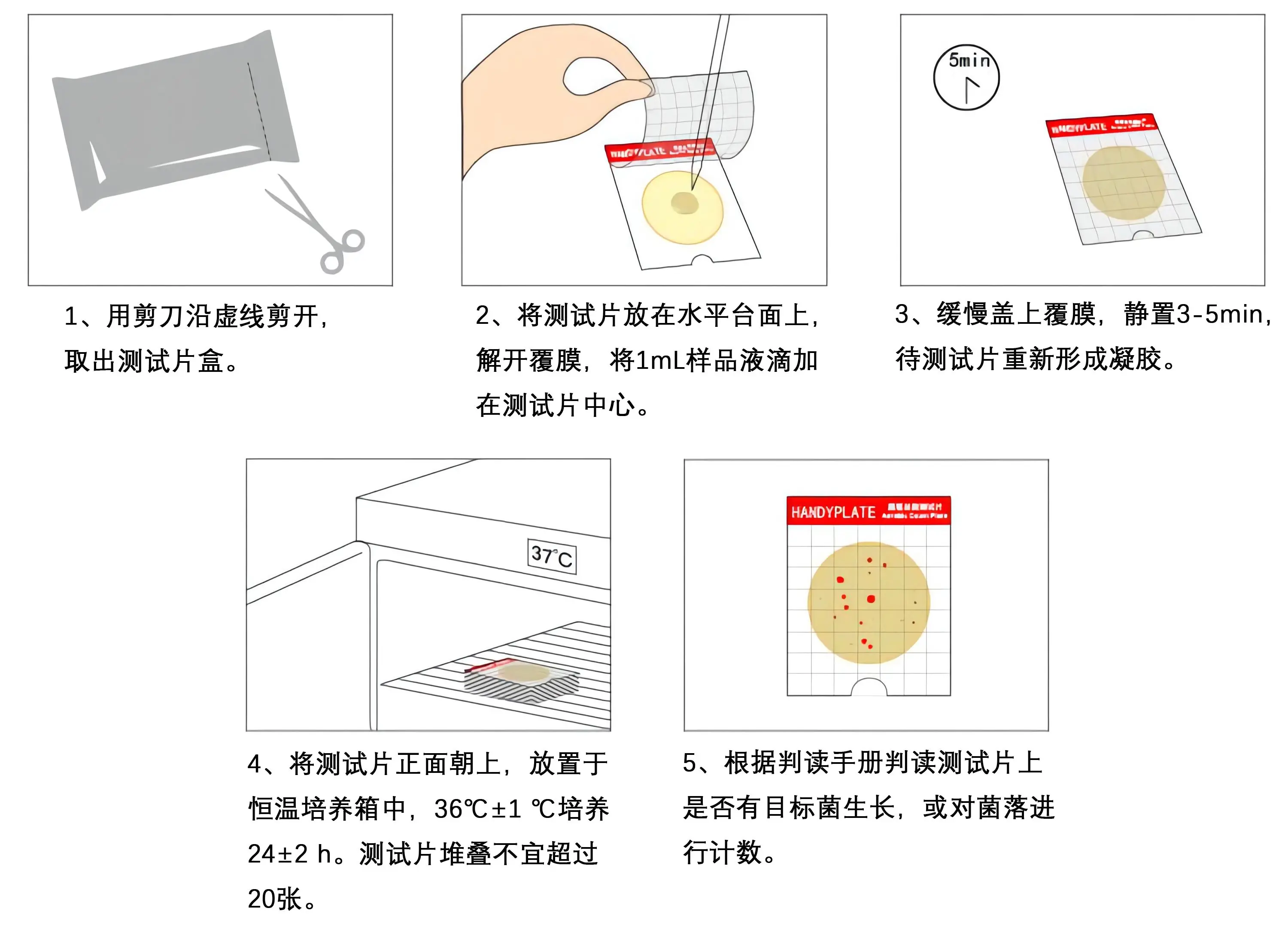 菌落总数测试片使用操作步骤