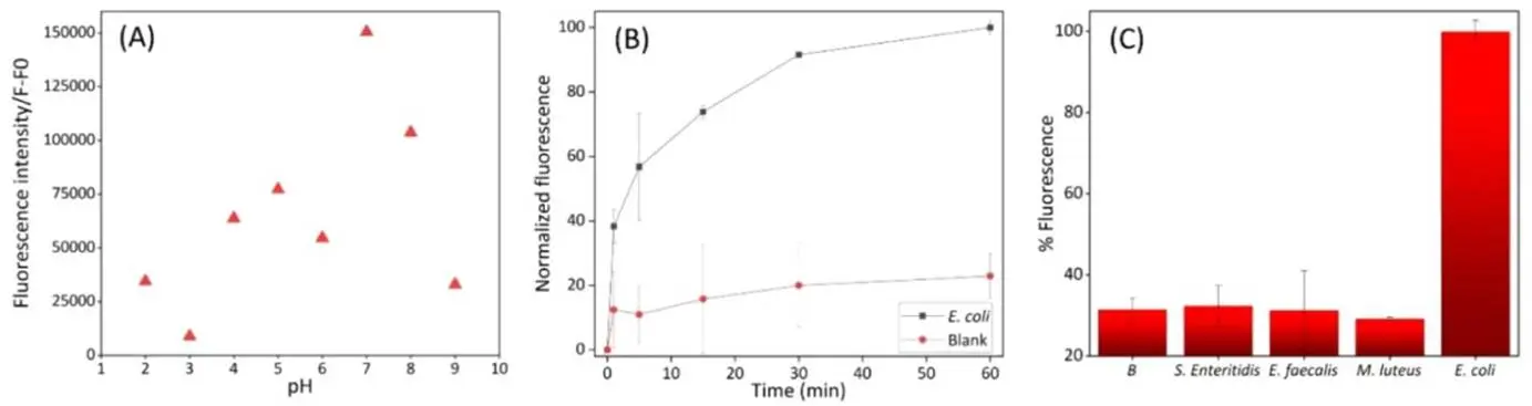 传感材料的结构与性能表征图谱（XRD、FTIR、氮气吸附 - 脱附）