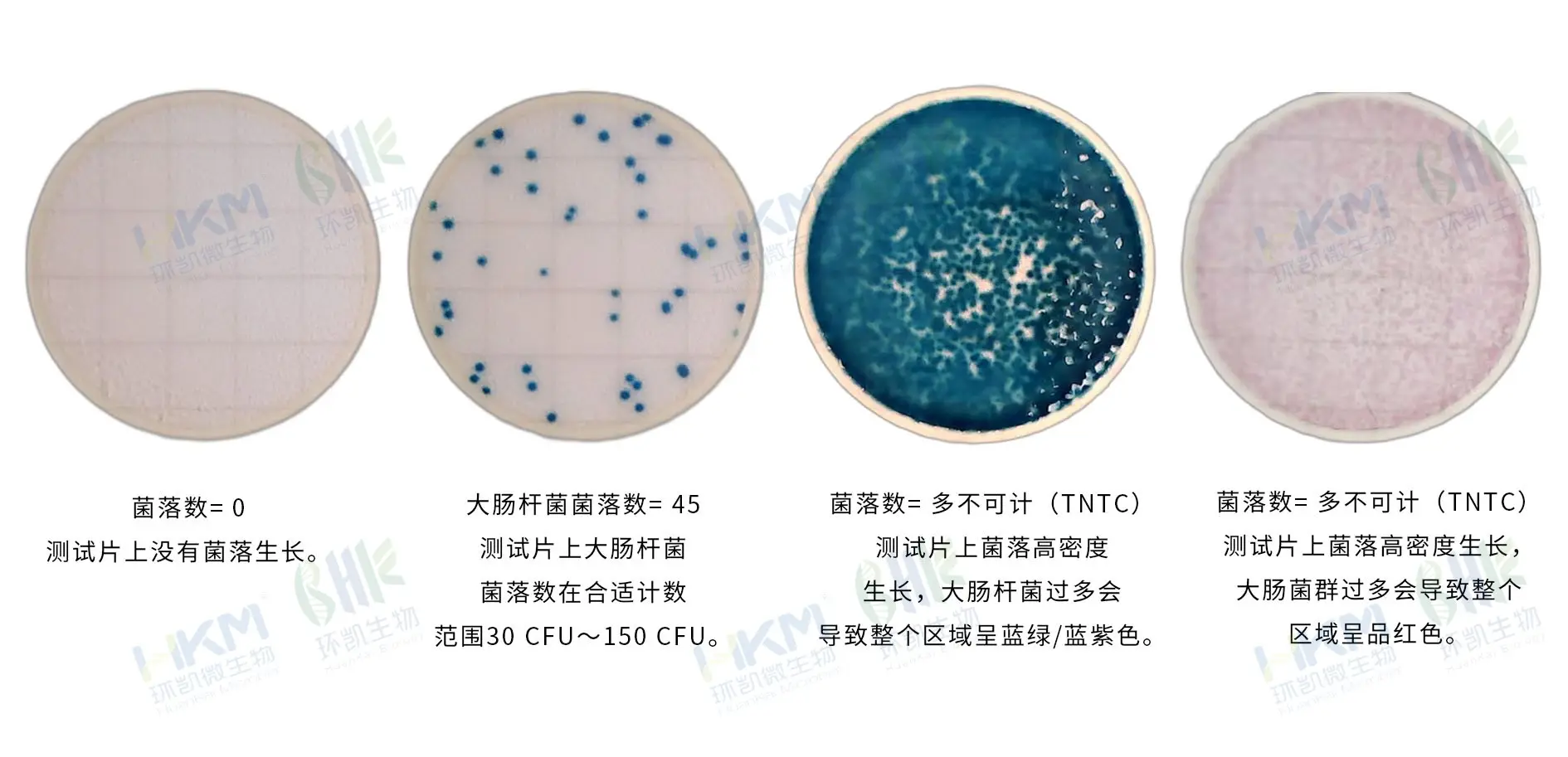 HandyPlate®大肠杆菌&大肠菌群测试片判读手册
