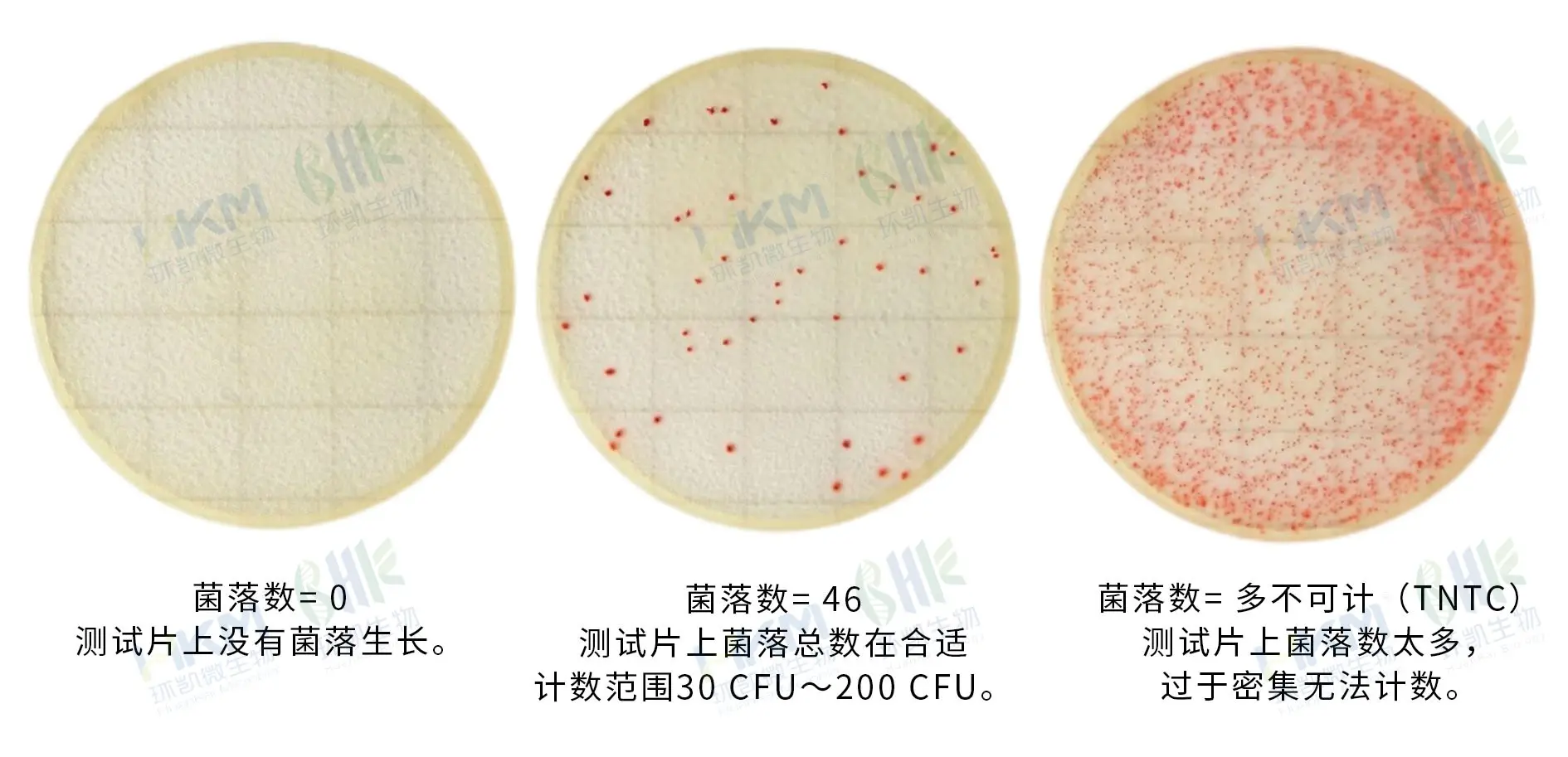 环凯 Handy plate®菌落总数测试片判读手册