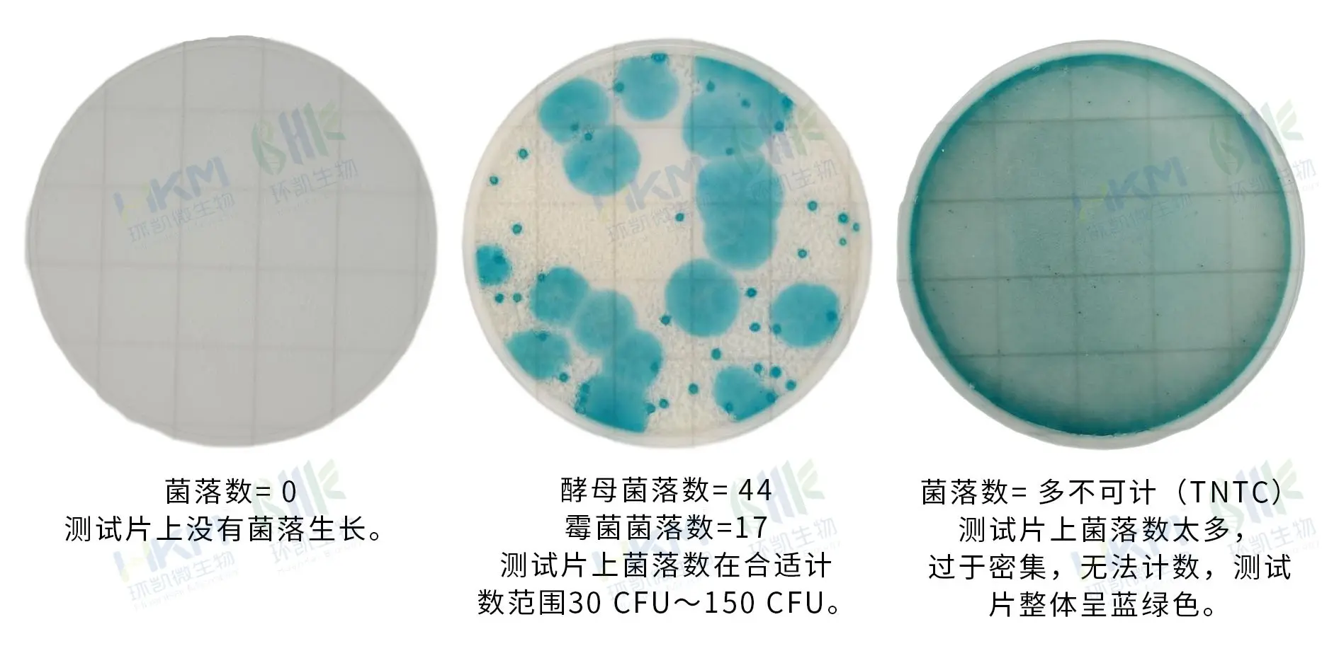 HandyPlate®霉菌酵母测试片判读手册