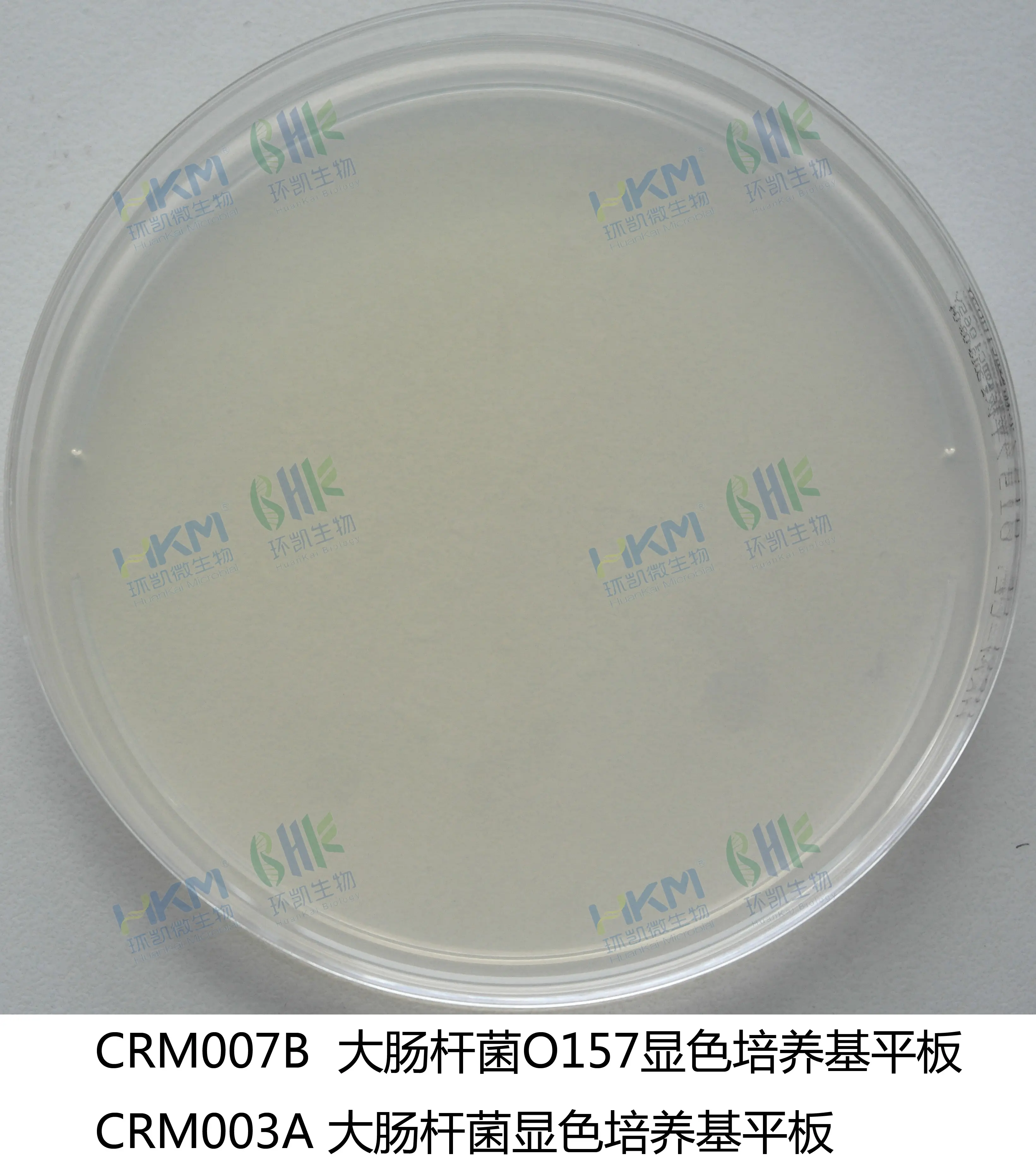 大肠菌群大肠杆菌(ECC)显色平板培养基 大肠菌群大肠杆菌(ECC)显色平板培养基