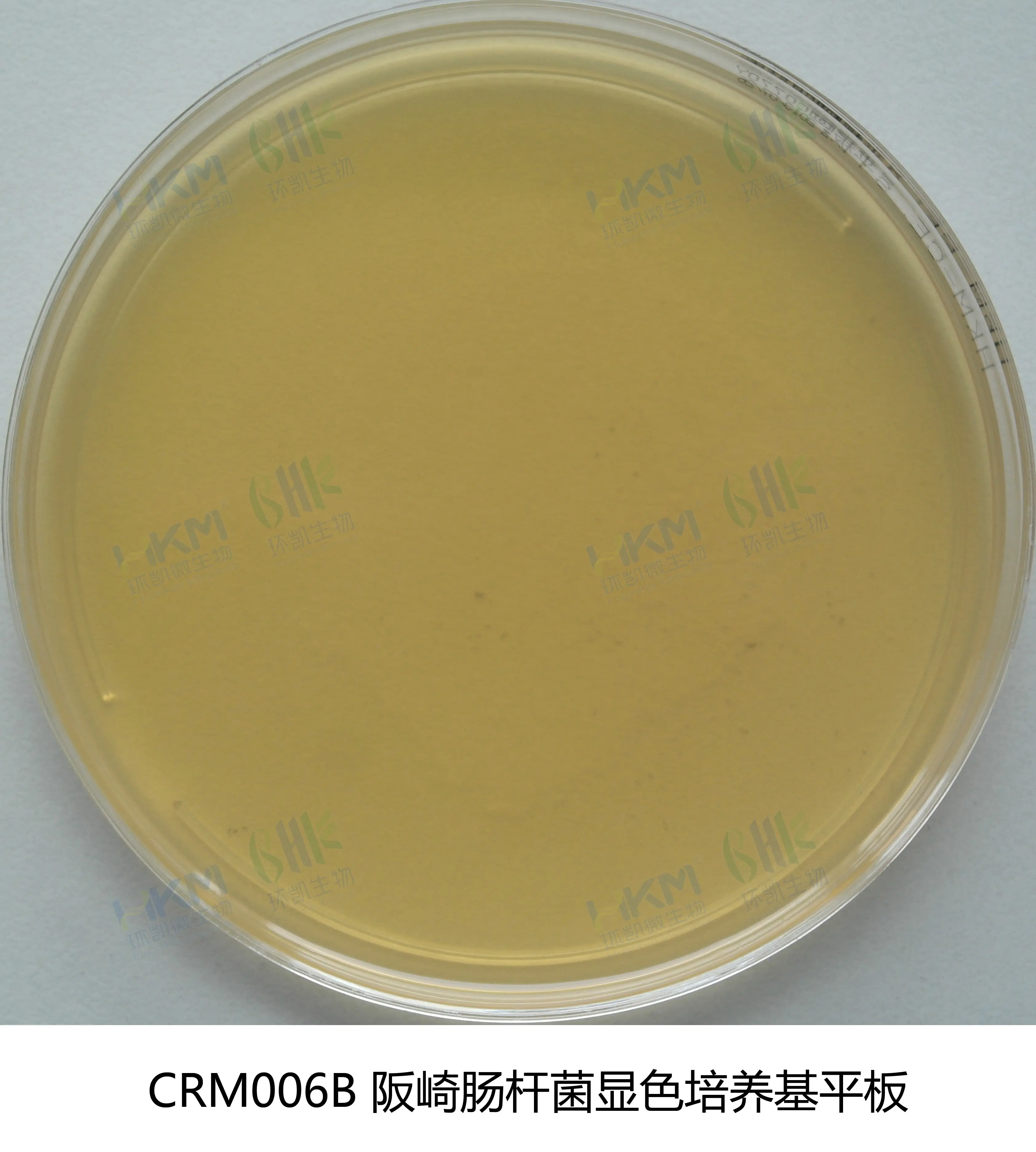 克罗诺杆菌(阪崎肠杆菌)显色平板培养基 克罗诺杆菌(阪崎肠杆菌)显色平板培养基
