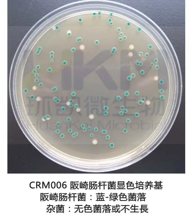 阪崎克罗诺杆菌显色培养基(DFI琼脂)菌落特征 阪崎克罗诺杆菌显色培养基(DFI琼脂)菌落特征