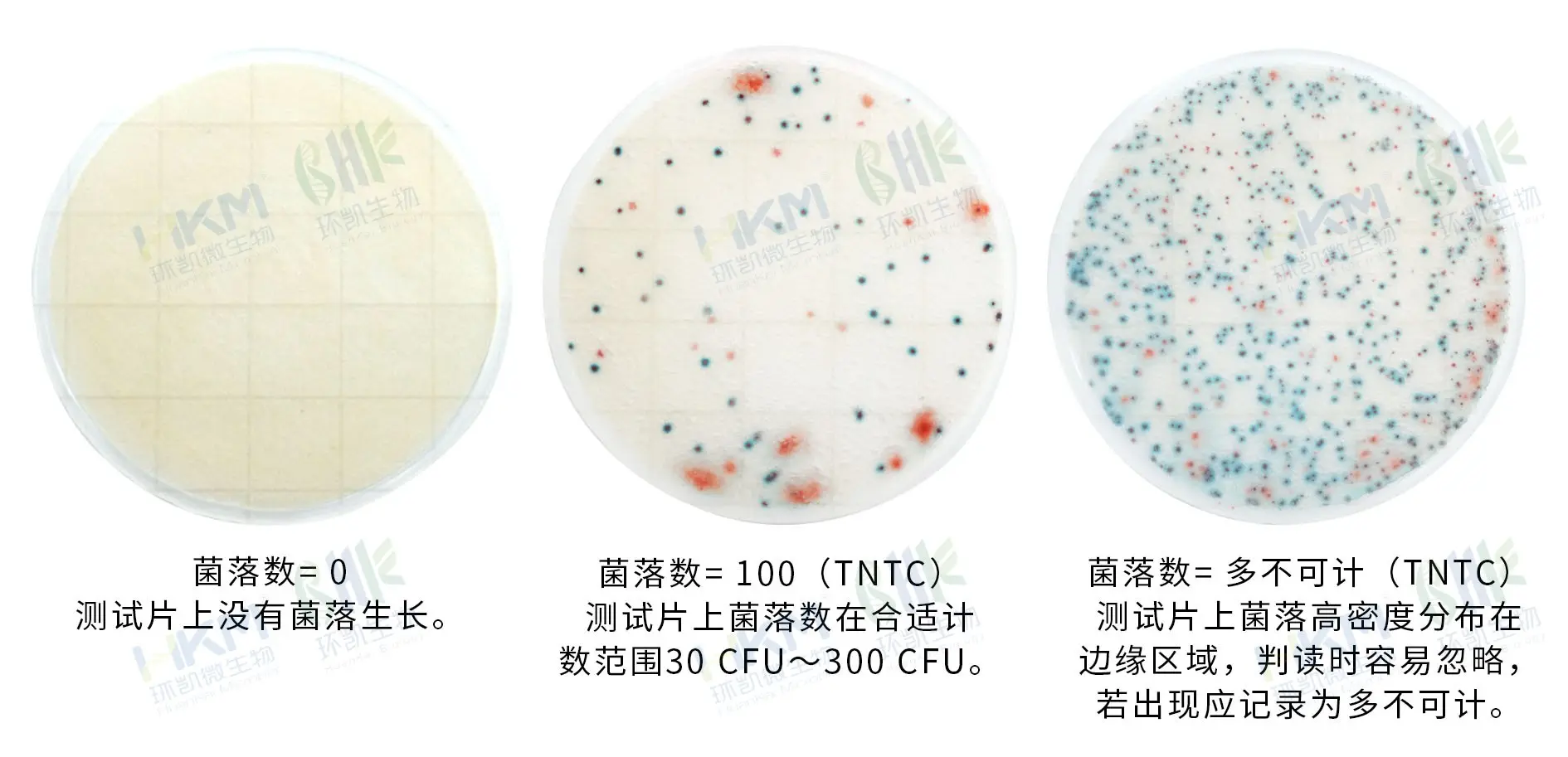 HandyPlate®快速菌落总数测试片 HandyPlate®快速菌落总数测试片