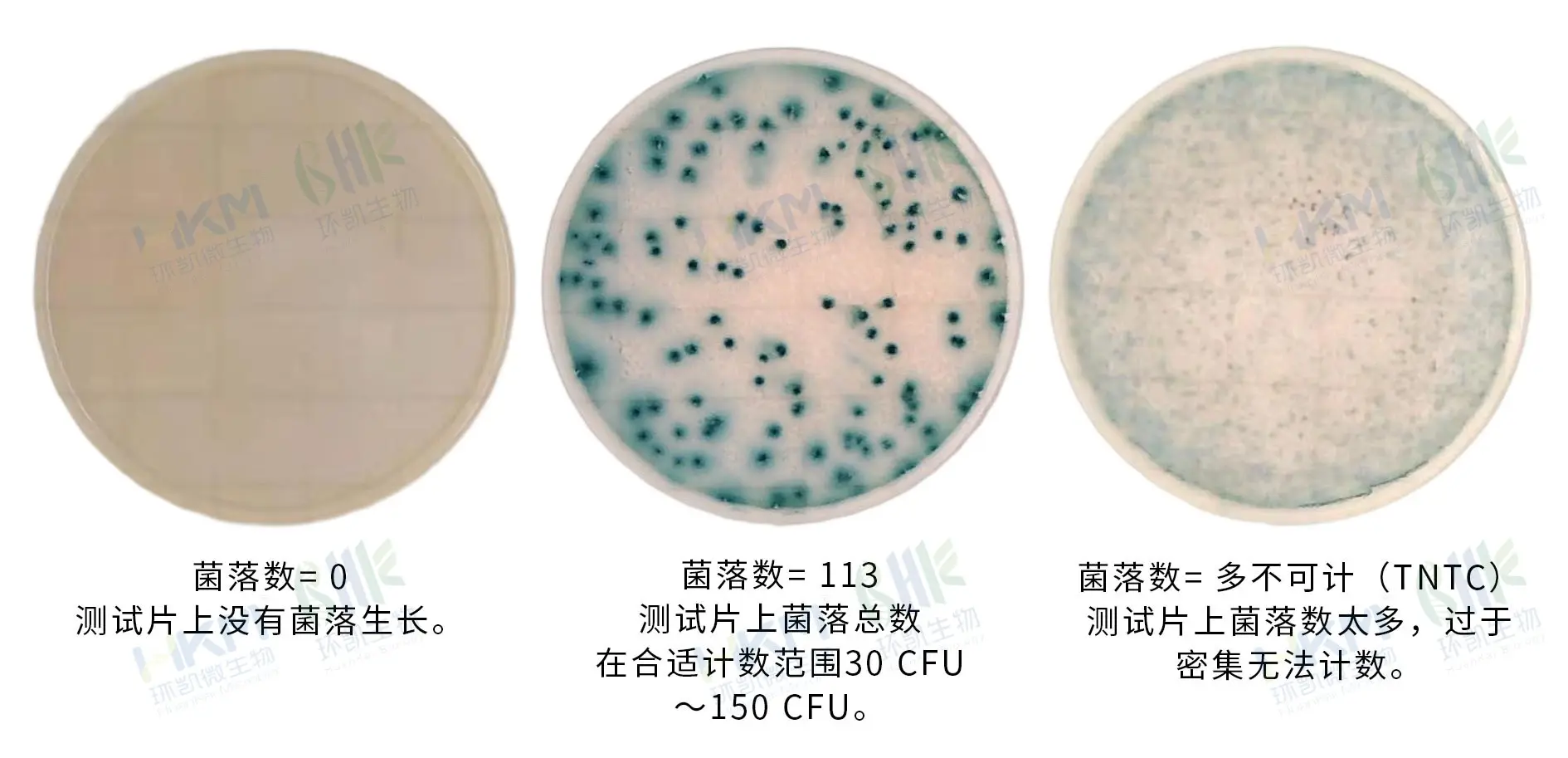 HandyPlate®克罗诺杆菌测试片 HandyPlate®克罗诺杆菌测试片
