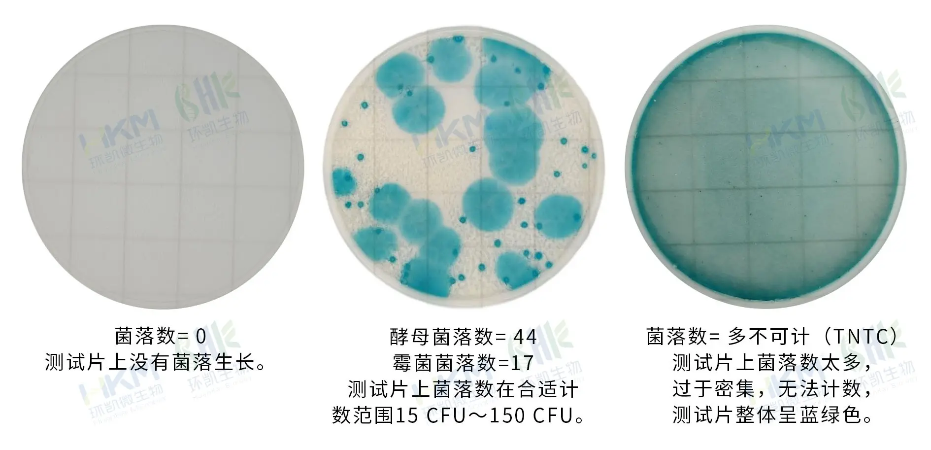 HandyPlate®快速霉菌酵母测试片判读手册 HandyPlate®快速霉菌酵母测试片判读手册