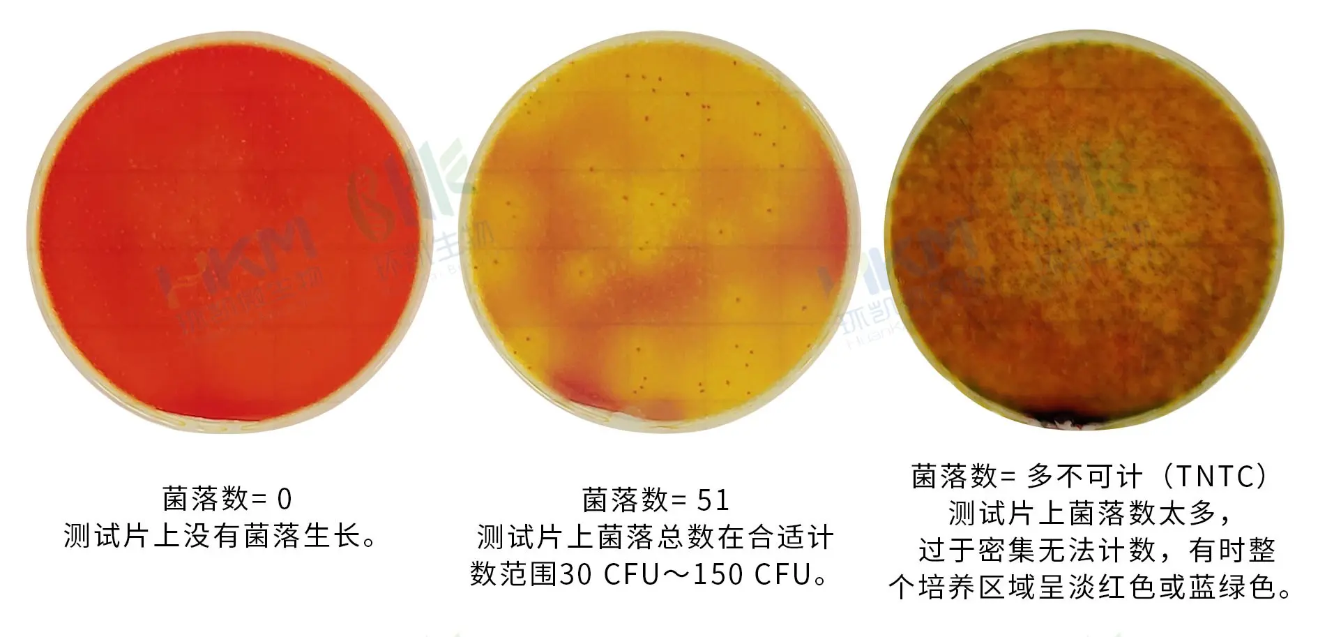 HandyPlate®沙门氏菌测试片 HandyPlate®沙门氏菌测试片