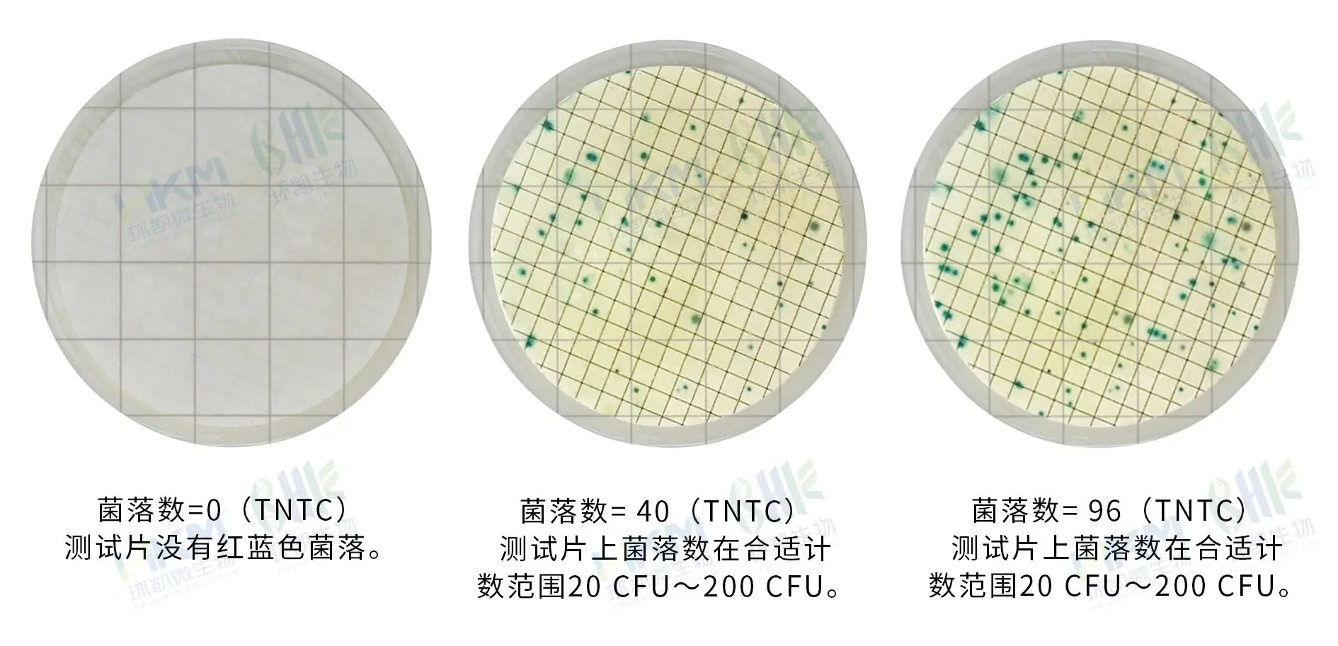 HandyPlate®快速菌落总数测试片(滤膜法) HandyPlate®快速菌落总数测试片(滤膜法)