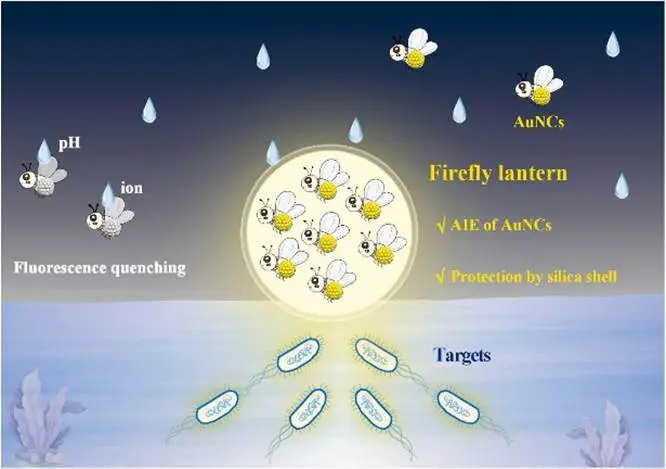 借萤火虫之光：AIE增强金纳米簇微球揪出食源病菌