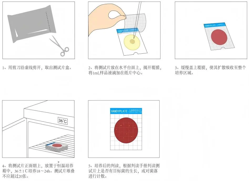 大肠菌群测试片使用操作步骤 大肠菌群测试片使用操作步骤
