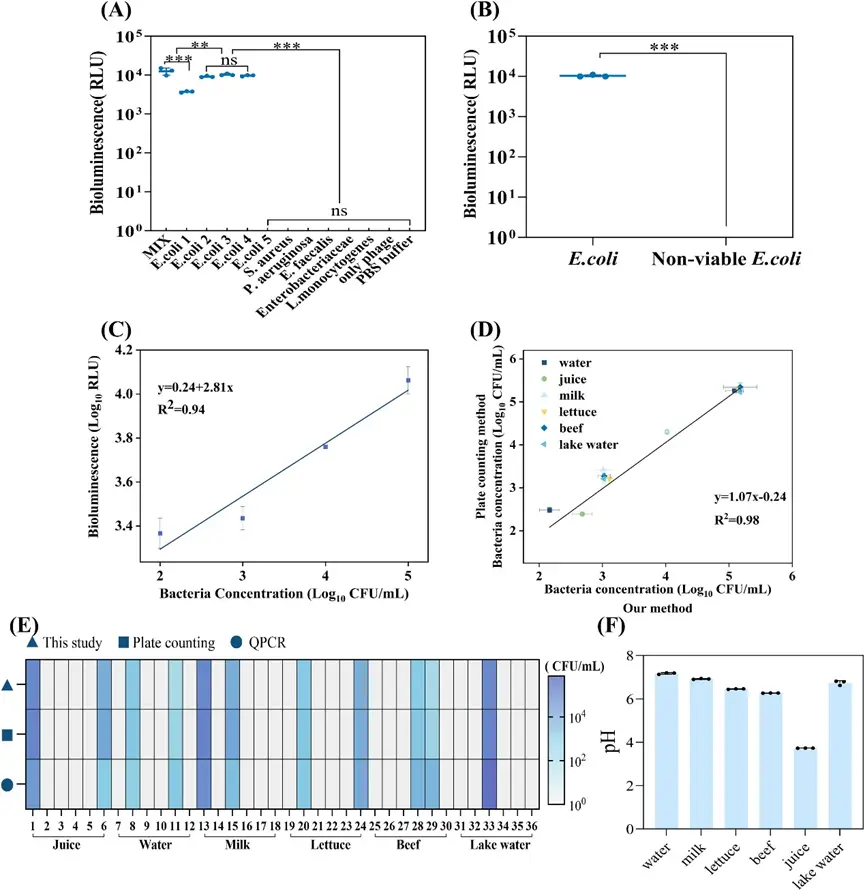 图7 生物发光报告吞噬传感器的定量分析 图7 生物发光报告吞噬传感器的定量分析