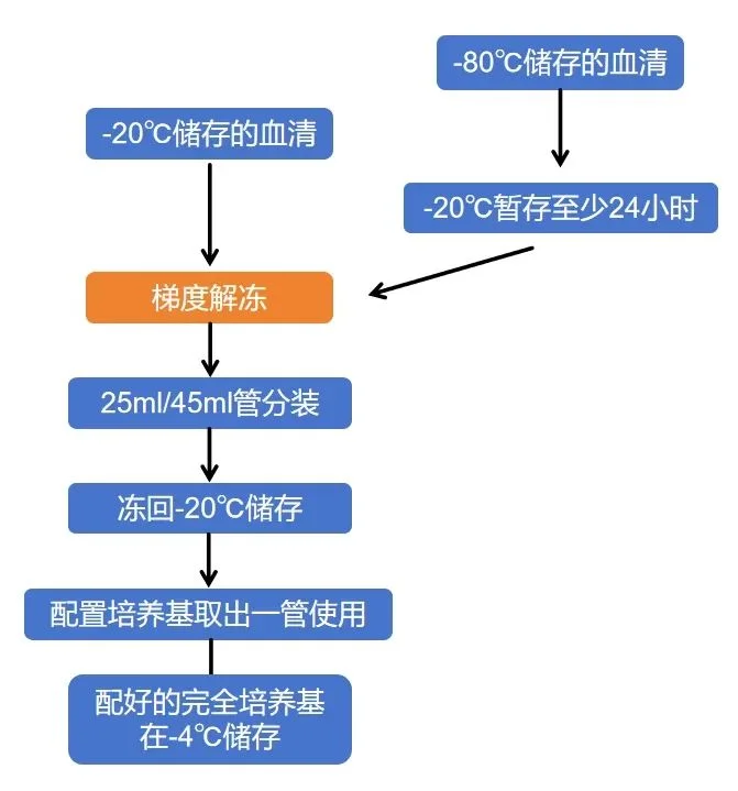 胎牛血清初次开封如何解冻