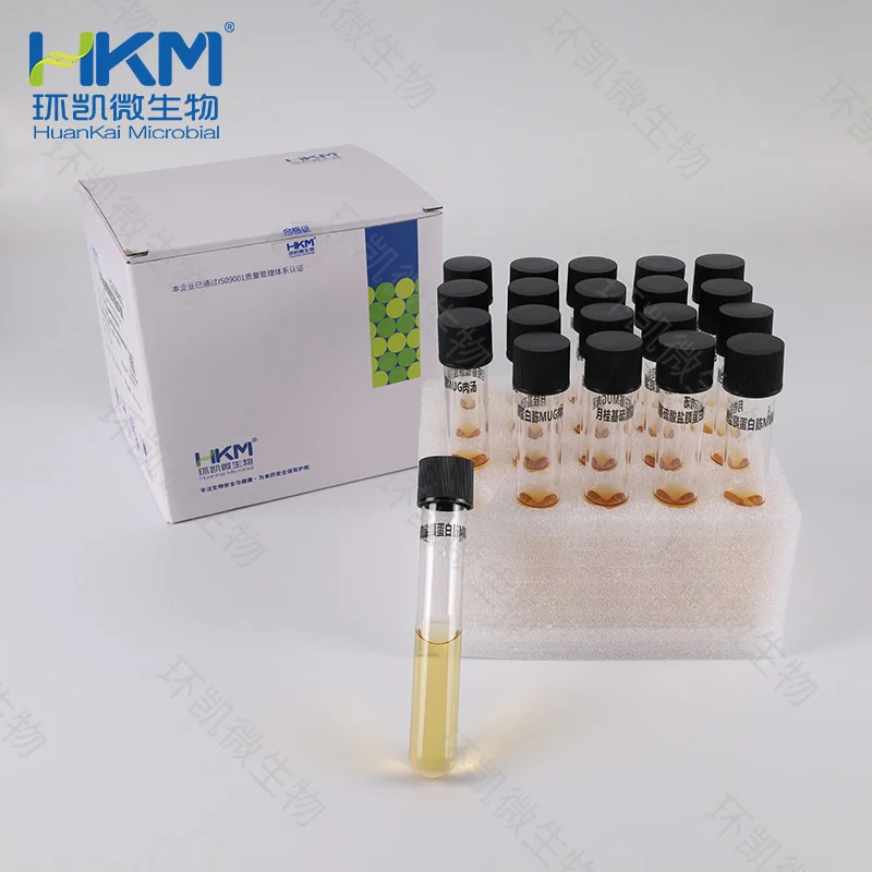 LST-MUG肉汤培养管