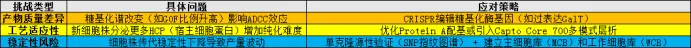 技术挑战与解决方案
