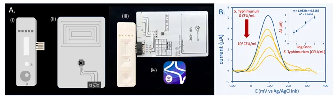 NFC手机集成性能：(A) 硬件组成（试纸条+NFC芯片+手机界面）；(B) NFC系统DPV响应与线性范围（R²=0.9893）