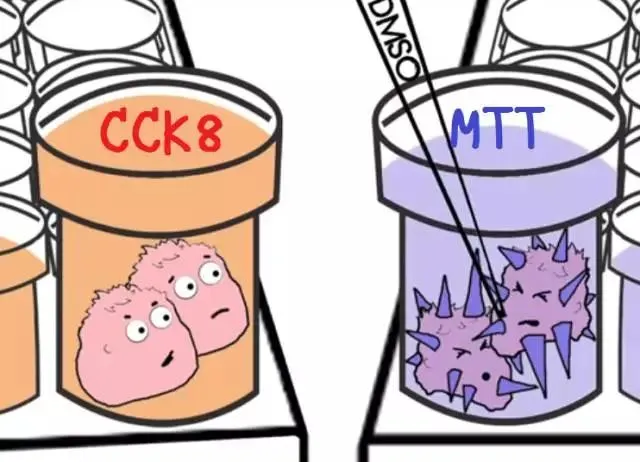 CCK-8与MTT对比