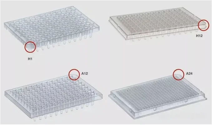 PCR/qPCR板切角 PCR/qPCR板切角