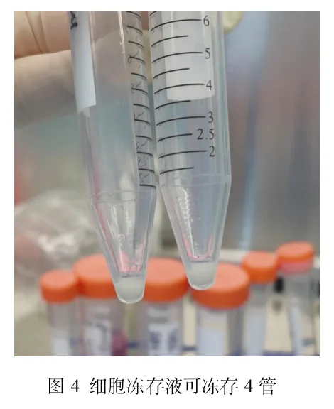 细胞冻存液可冻存4管 细胞冻存液可冻存4管