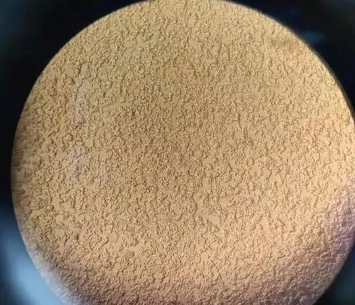 细胞培养 细胞培养